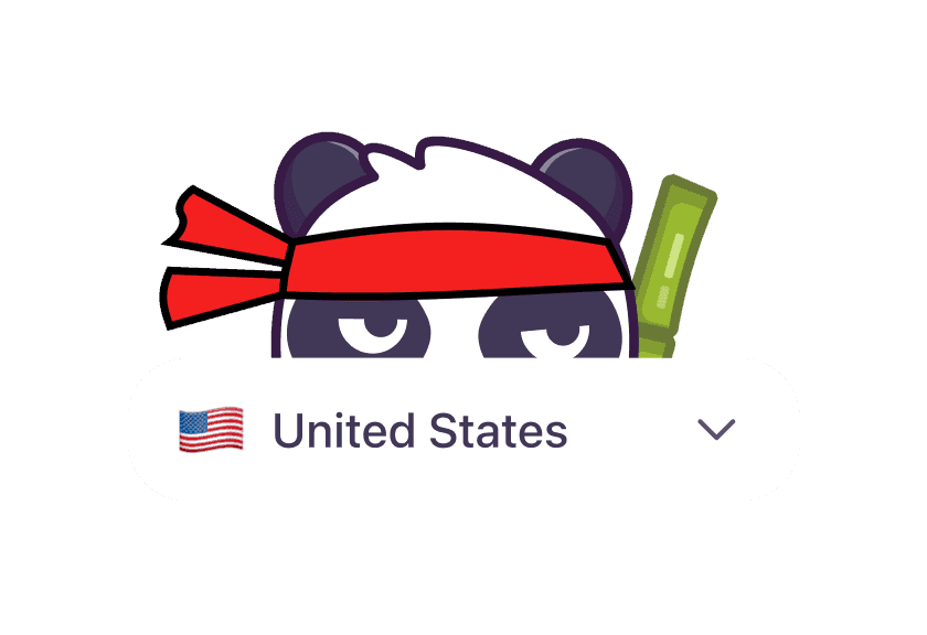 Panda hiding behind a United States server